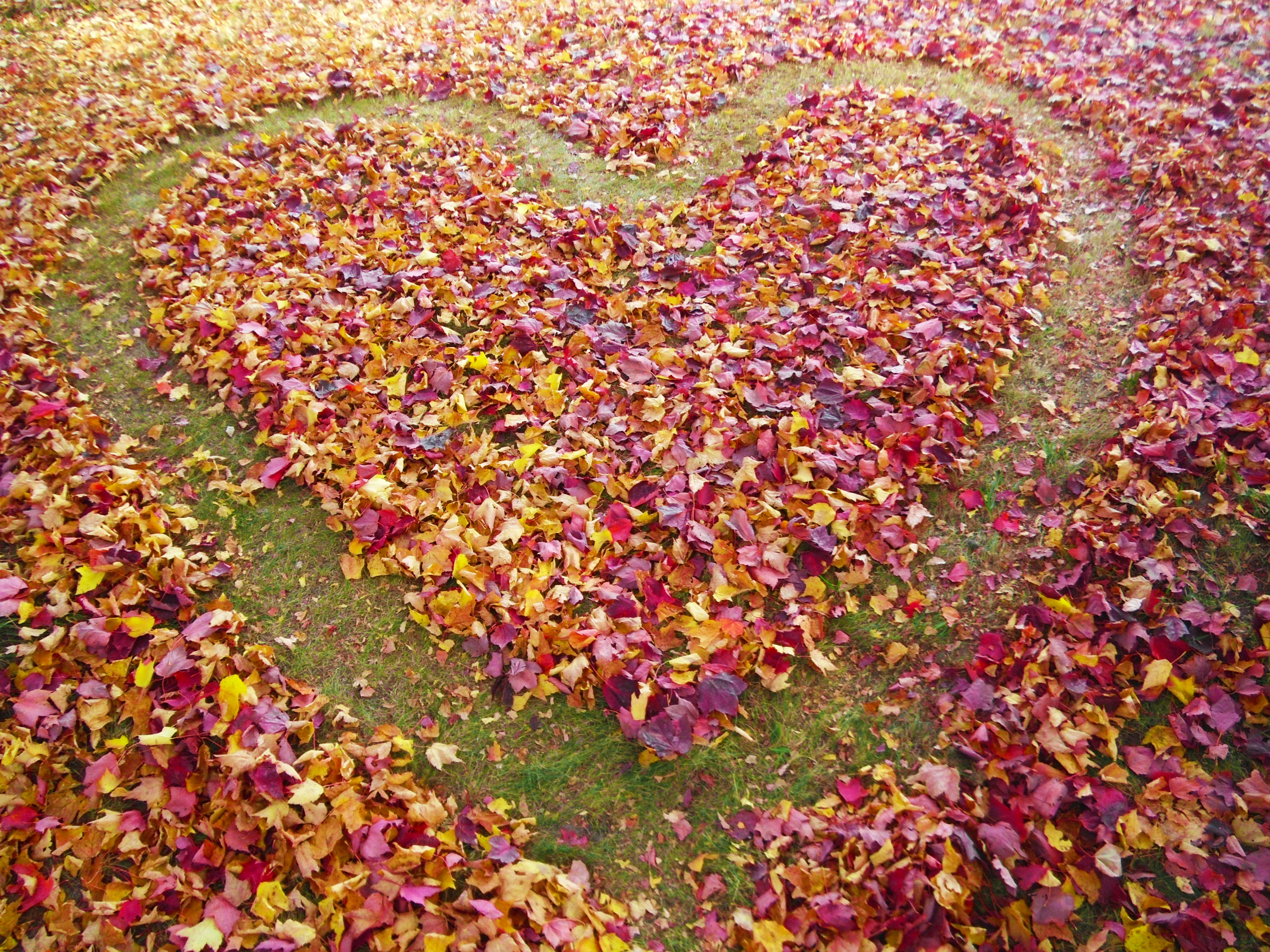 walstad wesley contest final